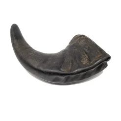 Open Range Pet Treats Open Range Small Water Buffalo Horn Dog Chew