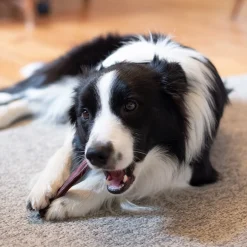 Open Range Pet Treats Open Range Supreme Bully Stick Dog Chew 30 cm