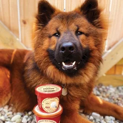 Puppy Cake Hoggin' Dogs Bacon Ice Cream Mix 132 g