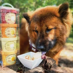 Puppy Cake Hoggin' Dogs Four Flavour Sample Pack