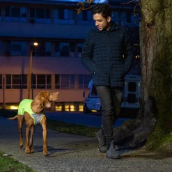 RC Pet Products RC Pet Luna Hi-Vis Vest