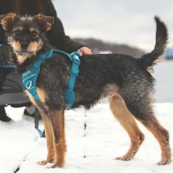 RC Pet Products RC Pet Momentum Control Harness