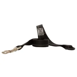 RC Pet Products RC Pet Primary Leash 1.8 m