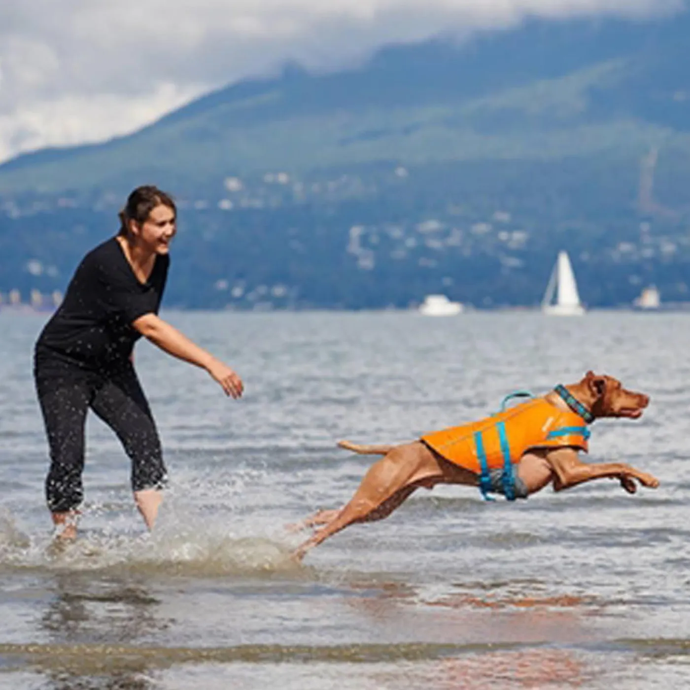 RC Pet Products RC Pet Tidal Life Vest