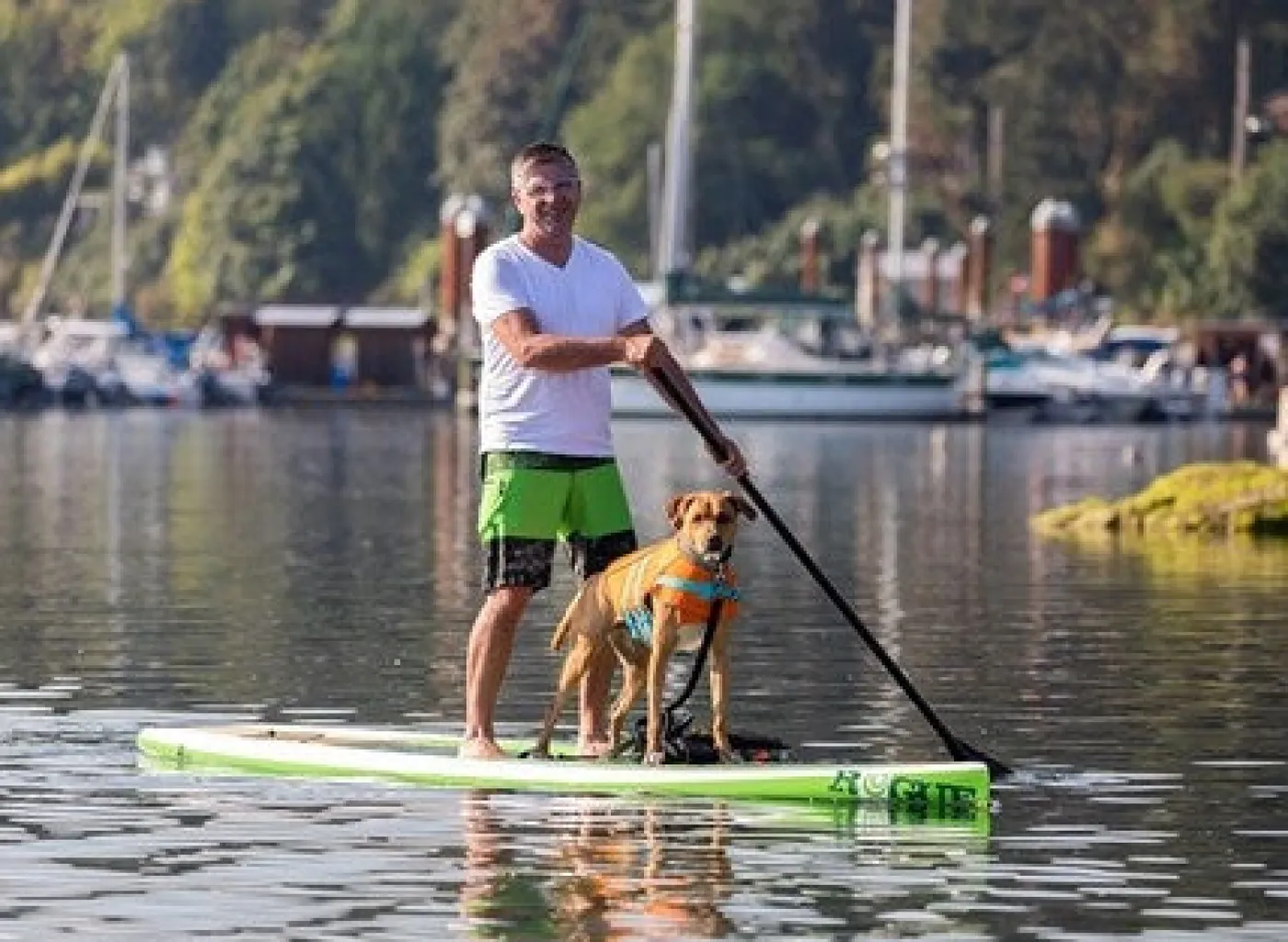 RC Pet Products RC Pet Tidal Life Vest