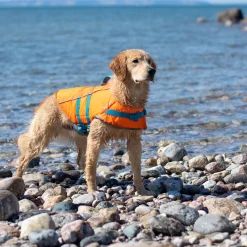 RC Pet Products RC Pet Tidal Life Vest