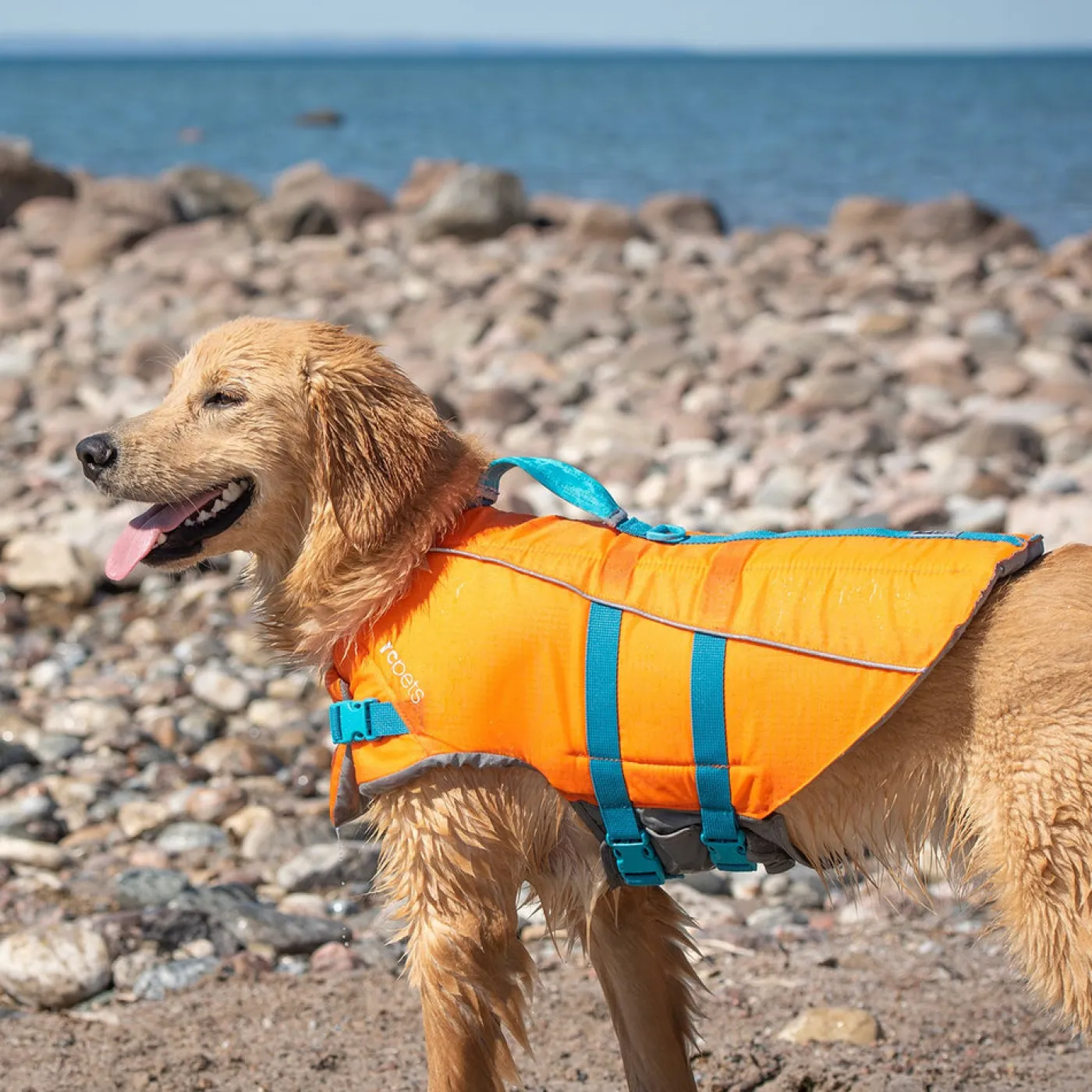 RC Pet Products RC Pet Tidal Life Vest