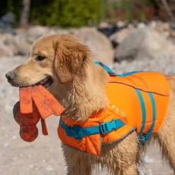 RC Pet Products RC Pet Tidal Life Vest