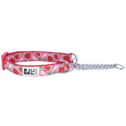 RC Pet Products RC Pet Training Collar