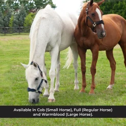 Shedrow Breakaway Halter W/ Fleece