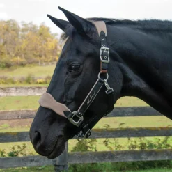 Shedrow Breakaway Halter W/ Fleece