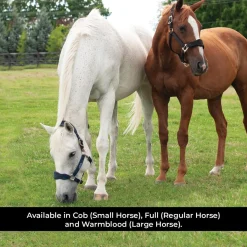 Shedrow Breakaway Halter W/ Fleece