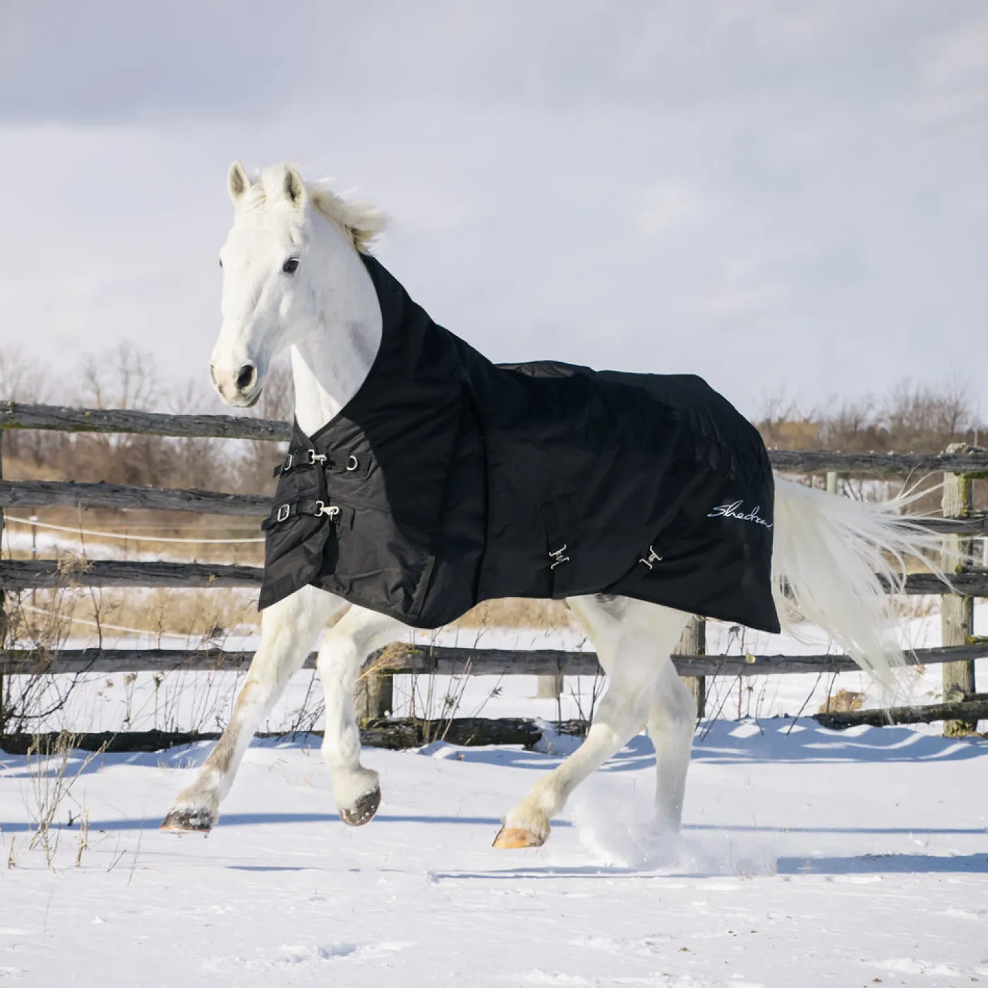 Shedrow Comfort Neck Turnout Blanket 300 g