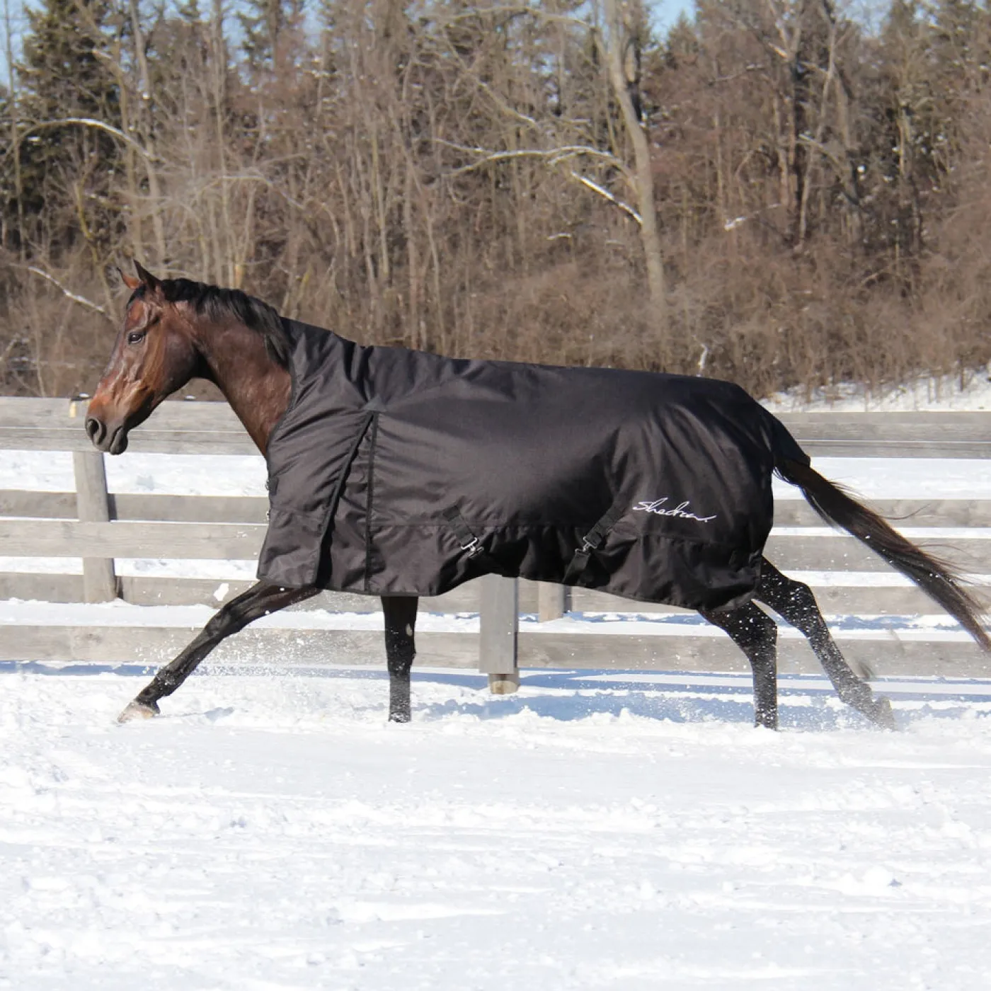Shedrow Comfort Neck Turnout Blanket 300 g