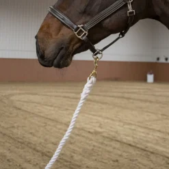 Shedrow Cotton Lead W/ Brass Snap