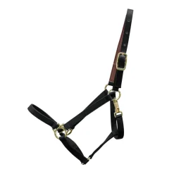 Shedrow Deluxe 3/4 in. Halter