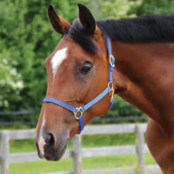 Shedrow Deluxe 3/4 in. Halter