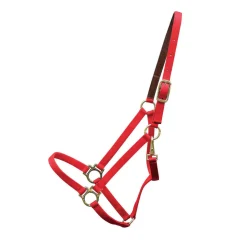 Shedrow Deluxe 3/4 in. Halter