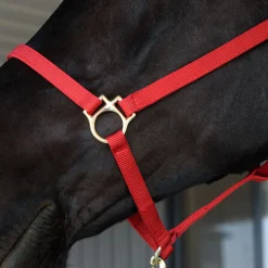 Shedrow Deluxe 3/4 in. Halter