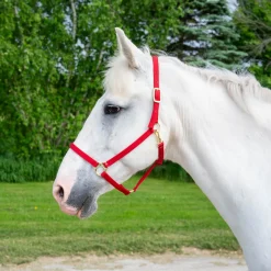 Shedrow Deluxe 3/4 in. Halter