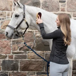 Shedrow Easy Grip Tampico Dandy Brush