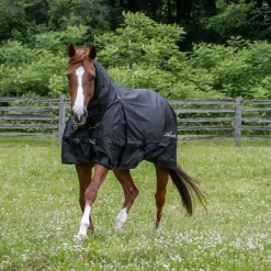 Shedrow Full Neck Rainsheet 0 g