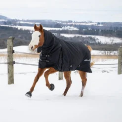 Shedrow Full Neck Turnout Blanket 300 g
