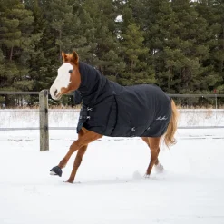 Shedrow Full Neck Turnout Blanket 300 g