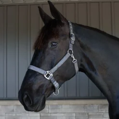 Shedrow Glitter Halter