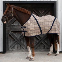 Shedrow Heavyweight Plaid Blanket
