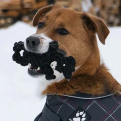 Shedrow K9 Bear Rope Dog Toy