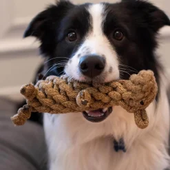 Shedrow K9 Beaver Rope Dog Toy