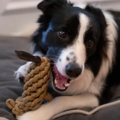 Shedrow K9 Beaver Rope Dog Toy