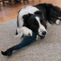 Shedrow K9 Blue Jay Rope & Water Bottle Dog Toy