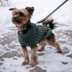 Shedrow K9 Brentwood Cable Knit Dog Sweater