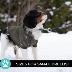 Shedrow K9 Brentwood Dog Hoodie