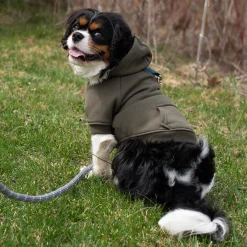 Shedrow K9 Brentwood Dog Hoodie