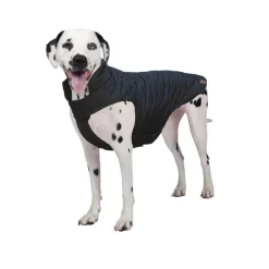 Shedrow K9 Brentwood Quilted Dog Coat