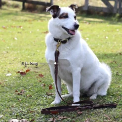 Shedrow K9 Bristol Twisted Leather Leash 1.5 m