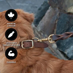 Shedrow K9 Bristol Twisted Leather Leash 1.5 m