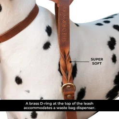 Shedrow K9 Bristol Twisted Leather Leash 1.5 m