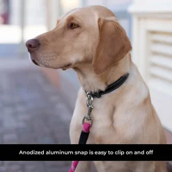 Shedrow K9 Camino Rope Leash