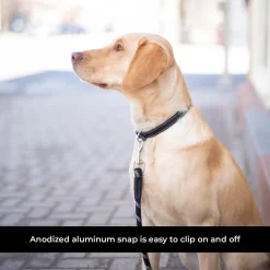 Shedrow K9 Camino Rope Leash