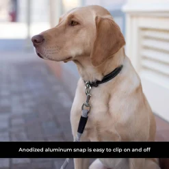 Shedrow K9 Camino Rope Leash