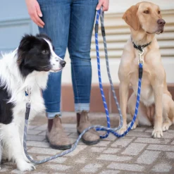 Shedrow K9 Camino Rope Leash