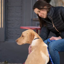 Shedrow K9 Camino Rope Leash