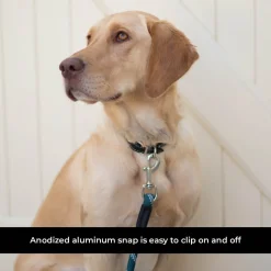 Shedrow K9 Camino Rope Leash