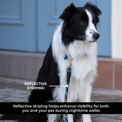 Shedrow K9 Camino Rope Leash