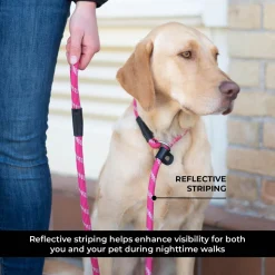 Shedrow K9 Camino Rope Slip Leash