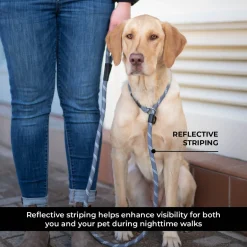 Shedrow K9 Camino Rope Slip Leash